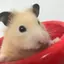 mamのプロフィール画像