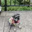 シュウのプロフィール画像