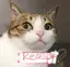 玉ちゃんのプロフィール画像