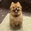 ゆ ー りのプロフィール画像