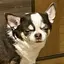 りたのプロフィール画像