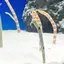 snowmaoのプロフィール画像