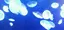 りんのプロフィール画像