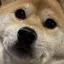 名無しのプロフィール画像