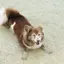 タケのプロフィール画像