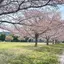 みかんのプロフィール画像
