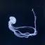 kのプロフィール画像