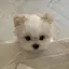 ナツのプロフィール画像