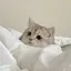まふてるのプロフィール画像