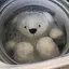 くろのプロフィール画像