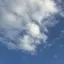 オムライスのプロフィール画像