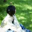 華蓮のプロフィール画像