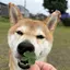 あや乃のプロフィール画像