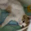 rinaのプロフィール画像