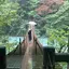 由夏のプロフィール画像
