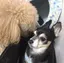 machiのプロフィール画像