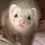 あやぽぽのプロフィール画像