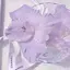 ちむのプロフィール画像