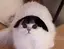 リカのプロフィール画像
