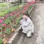 あゆのプロフィール画像