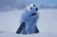 ayuのプロフィール画像