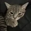kannnのプロフィール画像