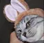 あっきーのプロフィール画像