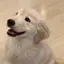 まりちゃんのプロフィール画像
