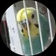 あずさのプロフィール画像