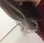 凛檎のプロフィール画像