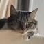 るなのプロフィール画像