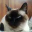ゆっこのプロフィール画像