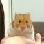 nanaのプロフィール画像