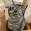 ふくちゃんのプロフィール画像
