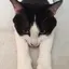 さやのプロフィール画像