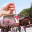 rinaのプロフィール画像