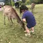 あんちゃんのプロフィール画像