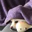 Rのプロフィール画像