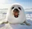 はるのプロフィール画像
