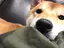 ゆきまるのプロフィール画像