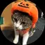kayopiのプロフィール画像