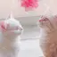 marronのプロフィール画像