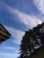 さきのプロフィール画像