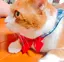 千遥のプロフィール画像