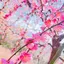 ミンティアのプロフィール画像