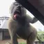 けんとのプロフィール画像
