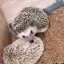 あやのプロフィール画像