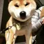 よんちみのプロフィール画像