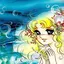 あゆ鮎 <')))))><のプロフィール画像