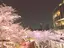 maiのプロフィール画像
